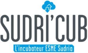 logo sudri'cub
